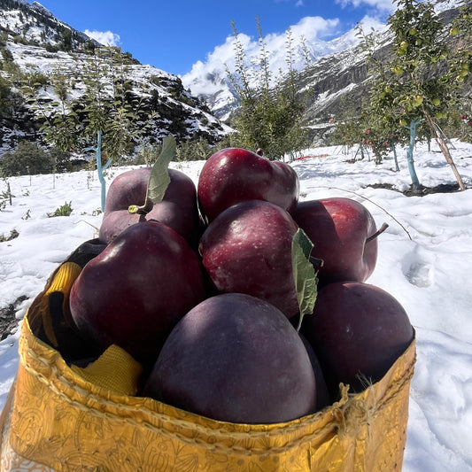 Dried Lahaul Red Apple Chips