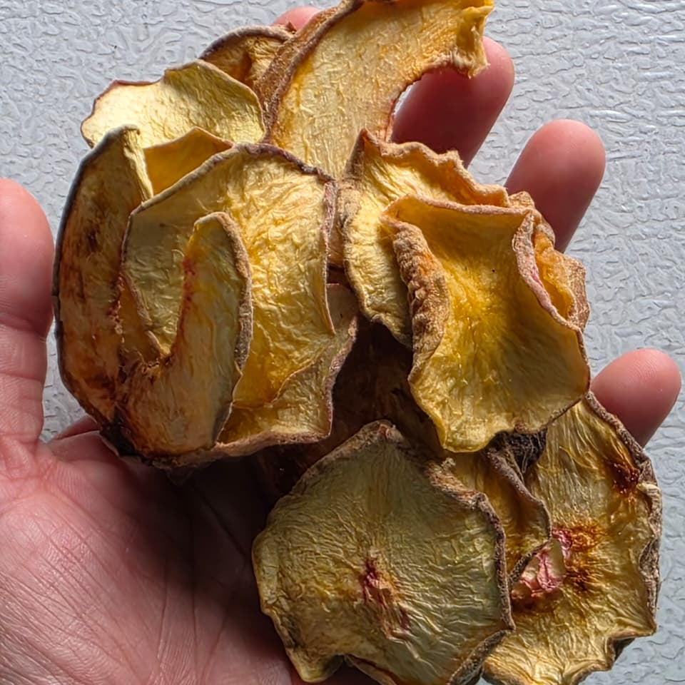 Dried Peach Chips