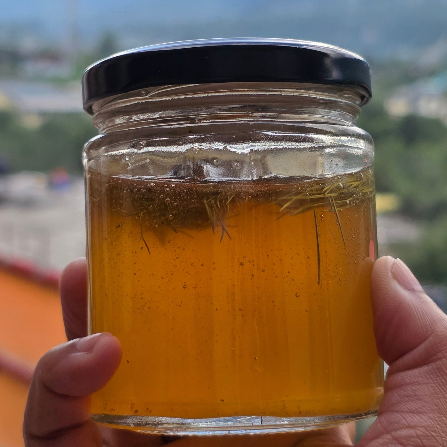 Spruce Tip Infused Honey