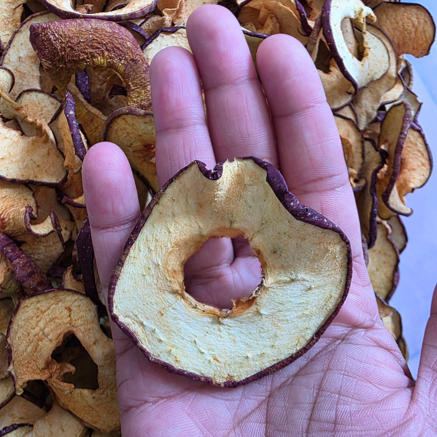 Dried Lahaul Red Apple Chips