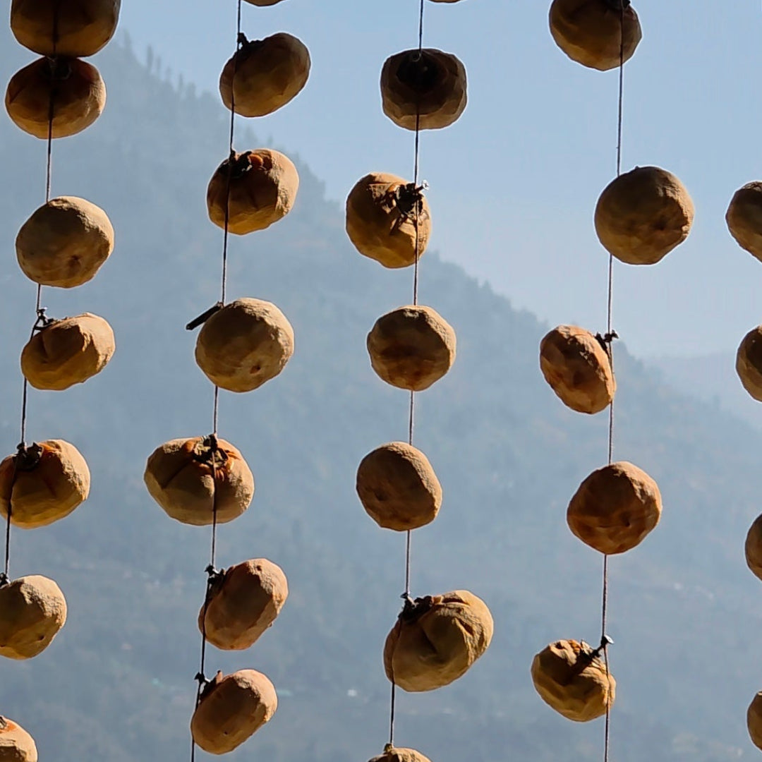 Dried Persimmons